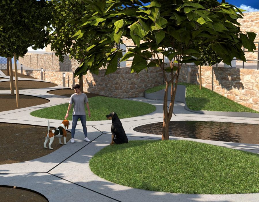MOLONA-PARQUE-CANINO-ARQUITECTURA-ALICANTE MOLONA-PARQUE-CANINO-ARQUITECTURA-ALICANTE